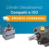 Pronta consegna pistoni idraulici