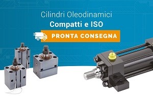 Pronta consegna pistoni idraulici